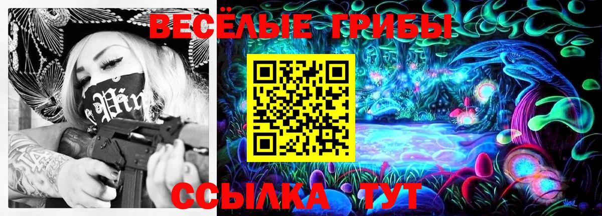 Псилоцибиновые грибы мухоморы  Галлюциногенные грибы Psilocybe  Вход с VPN  Нальчик 