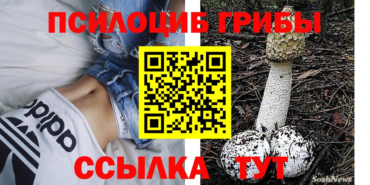 Галлюциногенные грибы мицелий Нальчик